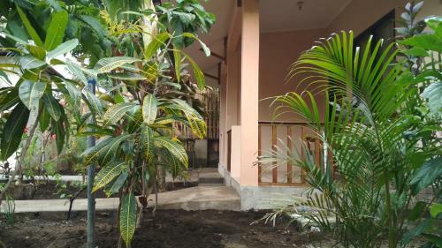 Lagi Homestay