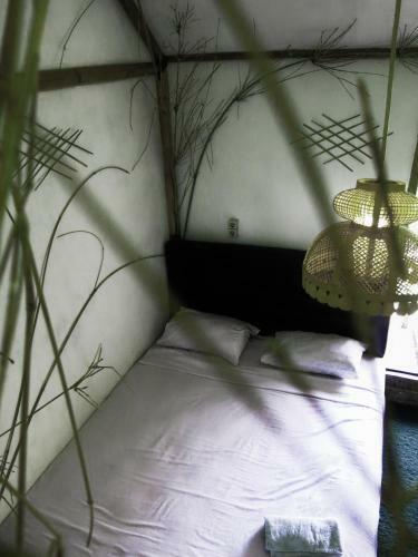 The Rabbit Tree Hostel