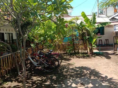 Thairiffic Homestay