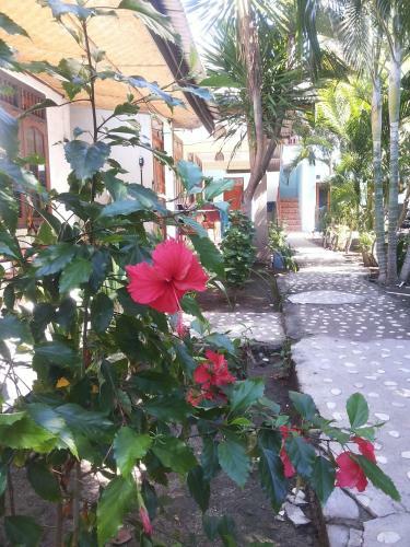 Hostal Sagita Bungalow