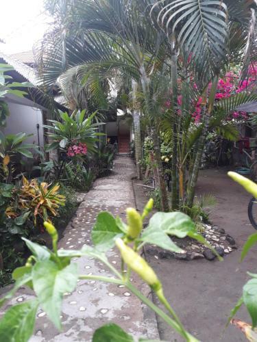 Hostal Sagita Bungalow
