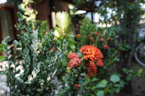 Bed & Breakfast Salon De Nomad Gili T.