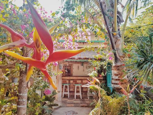 Bed & Breakfast Havana Hideaway