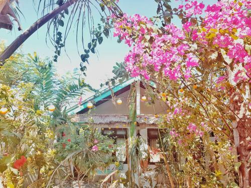 Bed & Breakfast Havana Hideaway