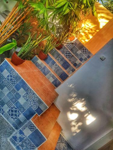Bed & Breakfast Havana Hideaway