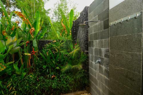 Hostal Bintang House