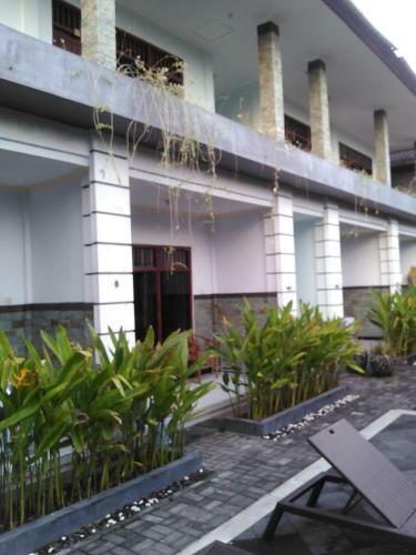 Alamanda Homestay Kuta Bali