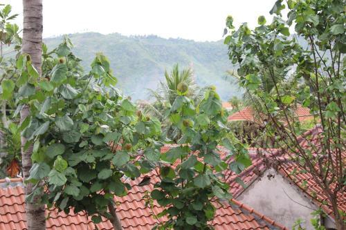 Join Homestay
