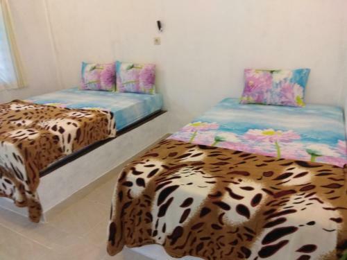 Hostal Nanda Homestay
