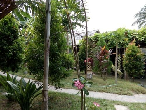 Hostal Casa D'rico Premiun Guest House