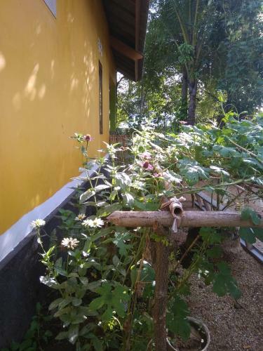 Husna Homestay