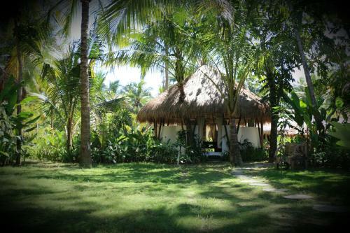 Hotel Mana Retreat