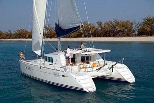Komodo Cruise Anema