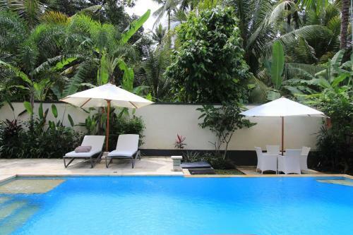 Villa Kupu Kupu Lovina