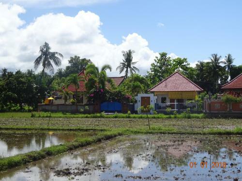 Bed & Breakfast Murnis Bungalow