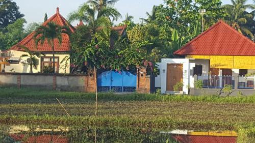 Bed & Breakfast Murnis Bungalow