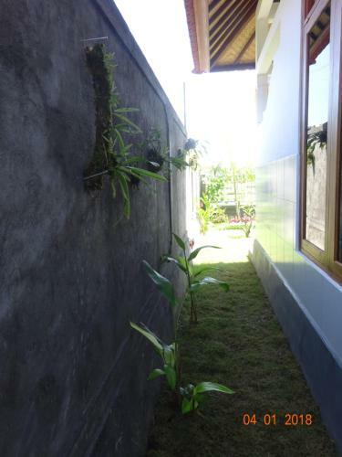 Bed & Breakfast Murnis Bungalow