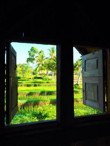 Paddy Hills Homestay