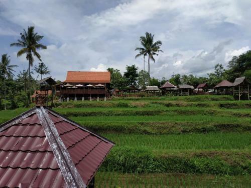 Hotel Villa Kemarang Banyuwangi