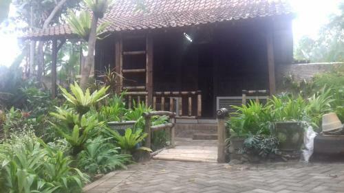 Stay In Ijen