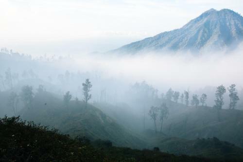 Ijen Farmer Homestay