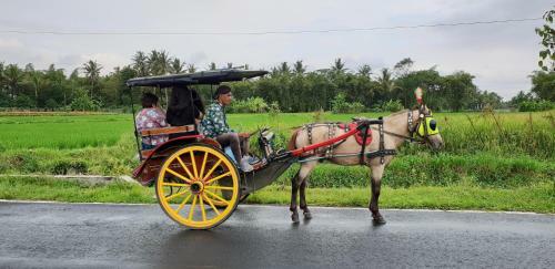 Albergue Borobudur Bed & Breakfast