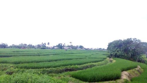 Hostal Bali Kunti Guest House