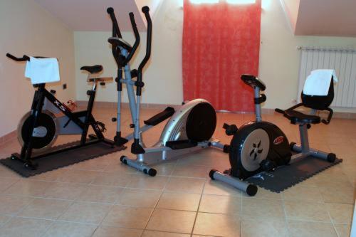 Hotel Lory
