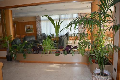Hotel Lory