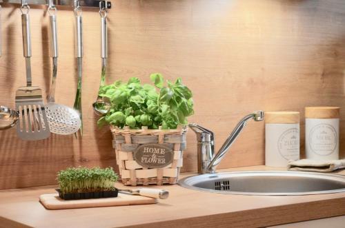 Apartamento Villa Strandblick 5