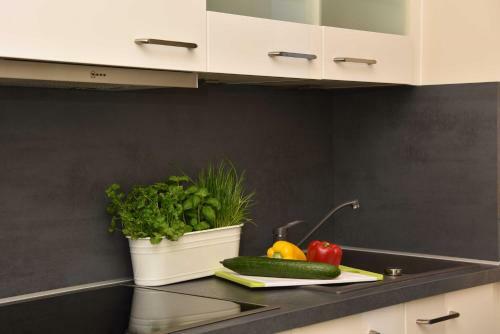 Apartamento Logierhaus Friedrich -ferienwohnung G�deke Michels - 1.reihe