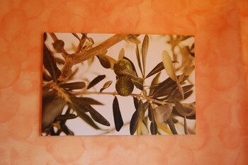 Bed & Breakfast Green Quiet