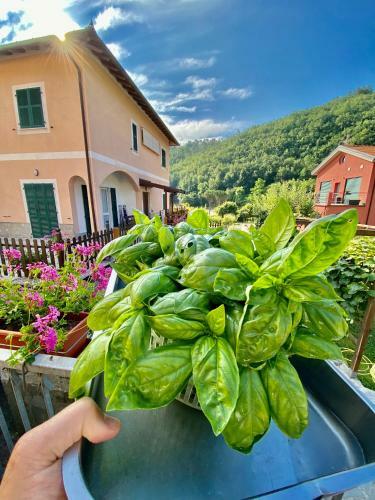 Bed & Breakfast Locanda Da Marco