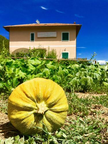 Bed & Breakfast Locanda Da Marco