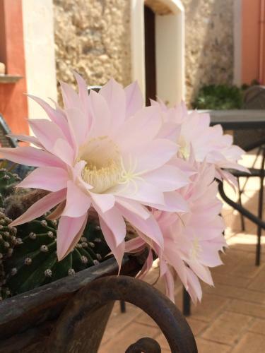 Hotel Agriturismo La Casa Di Botro