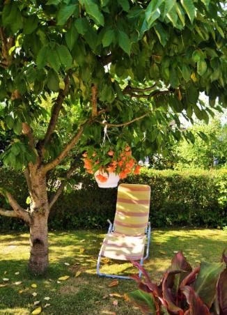 Apartamento Ferienwohnung Dalibor