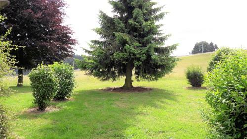 Apartamento Ferienwohnung Pistenblick