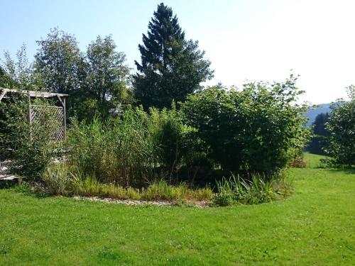 Apartamento Winterberg 3
