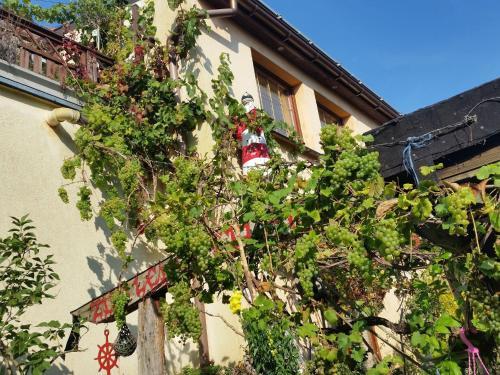 Apartamento Leuchtturm 3 Mit Dachterrasse