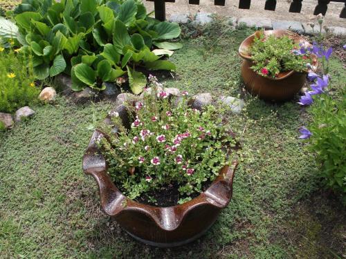 Apartamento Bl�tenzauber