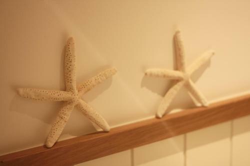 Apartamento Tidehuis
