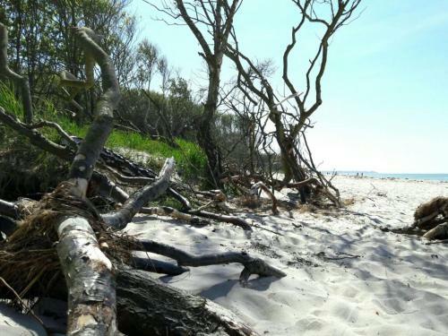 Apartamento Zwischen Meer & Bodden App 20 Qm