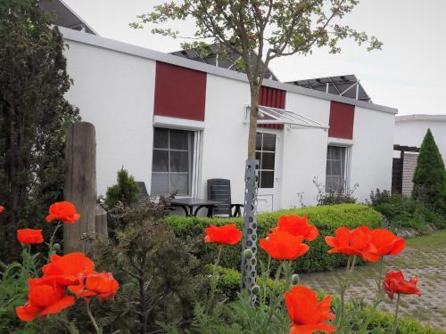 Apartamento Zwischen Meer & Bodden App 15 Qm