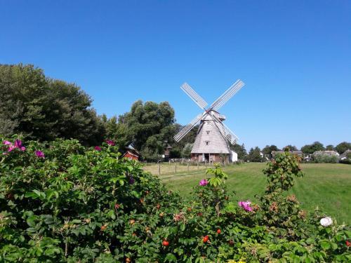 Apartamento Zwischen Meer & Bodden App 34 Qm