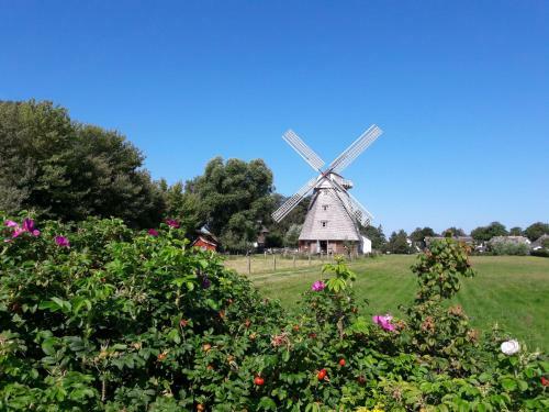 Apartamento Zwischen Meer & Bodden App 34 Qm