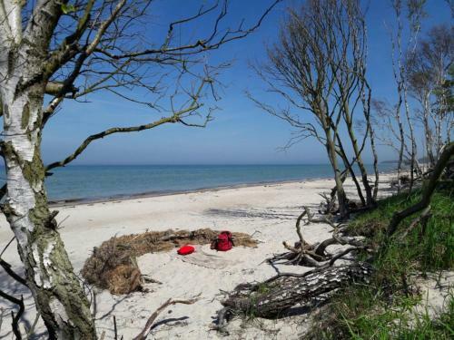 Apartamento Zwischen Meer & Bodden App 34 Qm