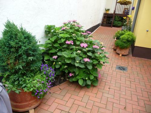 Apartamento Ferienwohnung Hahns