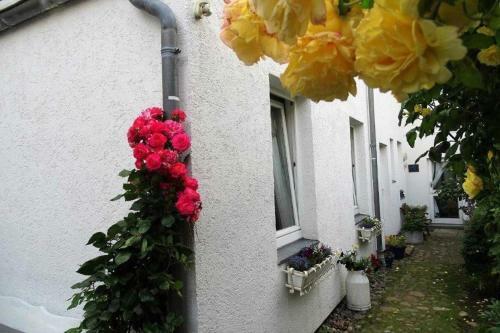 Apartamento Ferienwohnung _ Rieck _ Alter Stro