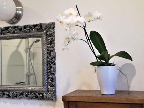 Apartamento Ferienwohnung Bigorne