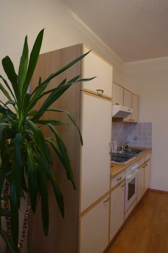 Hostal Pension "am Nico"